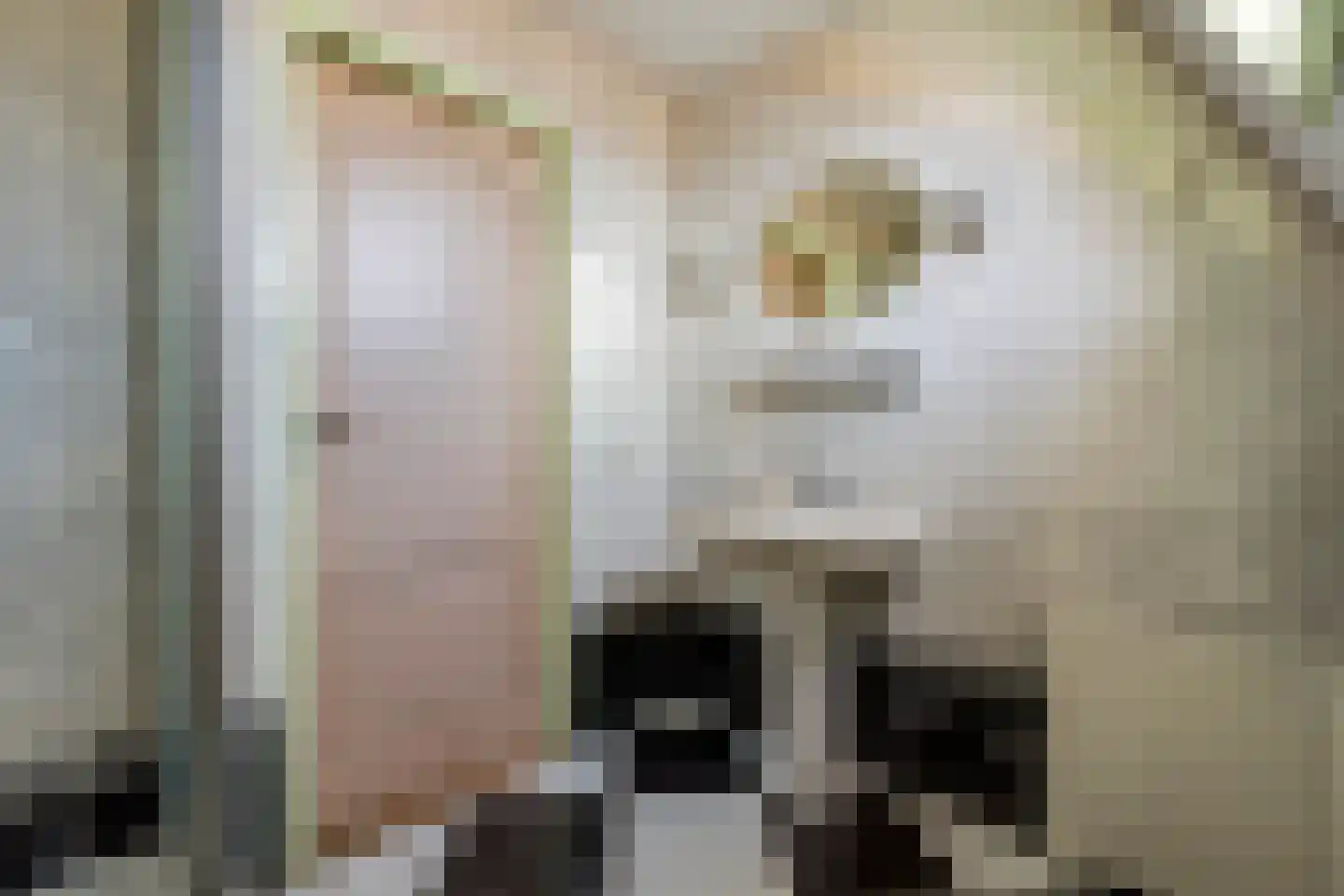 Heiligestraat 57 Tiel thumbnail 27