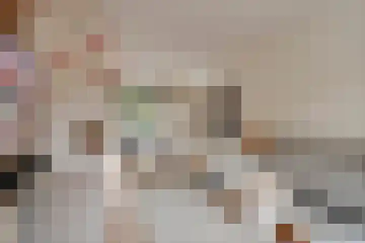 Heiligestraat 6 Tiel thumbnail 11