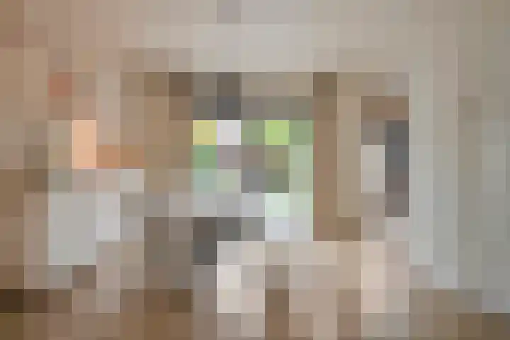Heiligestraat 6 Tiel thumbnail 14