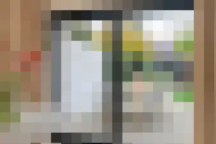Heiligestraat 6 Tiel thumbnail 15