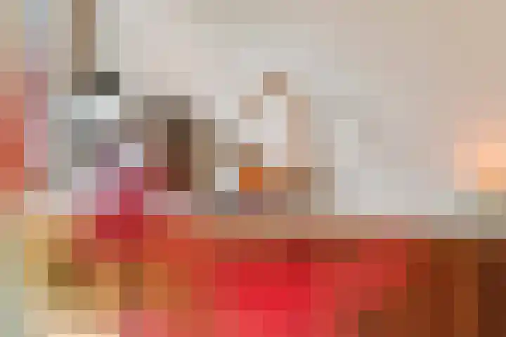 Heiligestraat 6 Tiel thumbnail 20