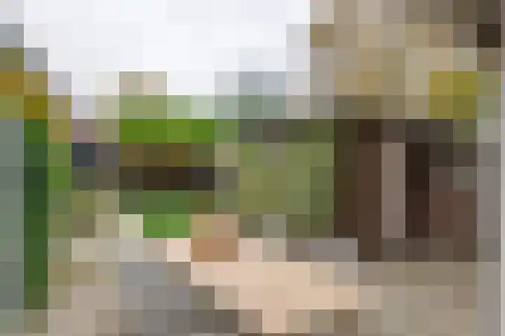 Heiligestraat 6 Tiel thumbnail 25