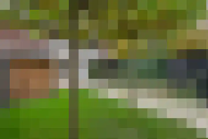 Heiligestraat 6 Tiel thumbnail 27