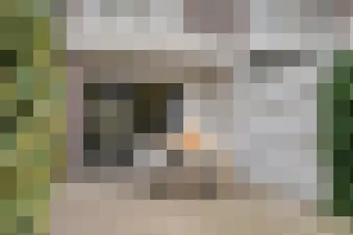 Heiligestraat 6 Tiel thumbnail 28