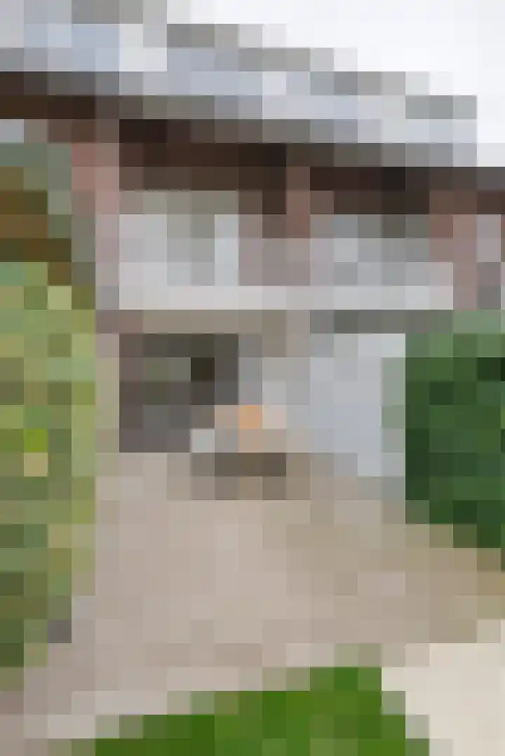 Heiligestraat 6 Tiel thumbnail 29