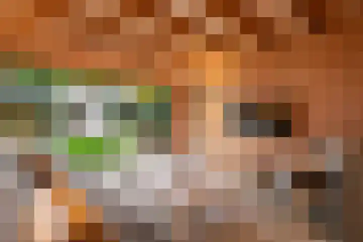 Heiligestraat 6 Tiel thumbnail 30