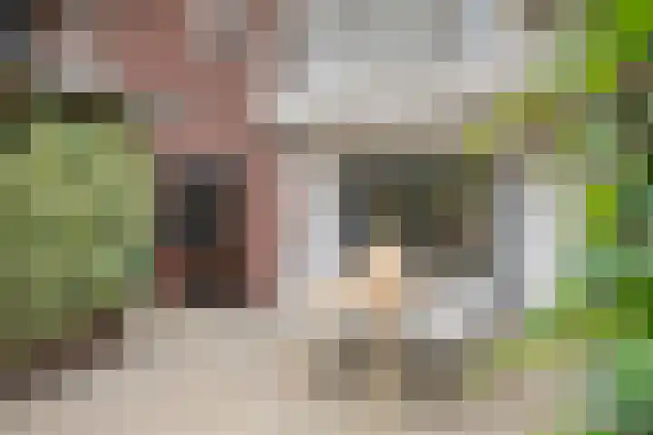 Heiligestraat 6 Tiel thumbnail 33