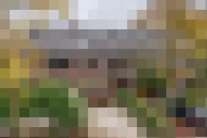 Heiligestraat 6 Tiel thumbnail 34