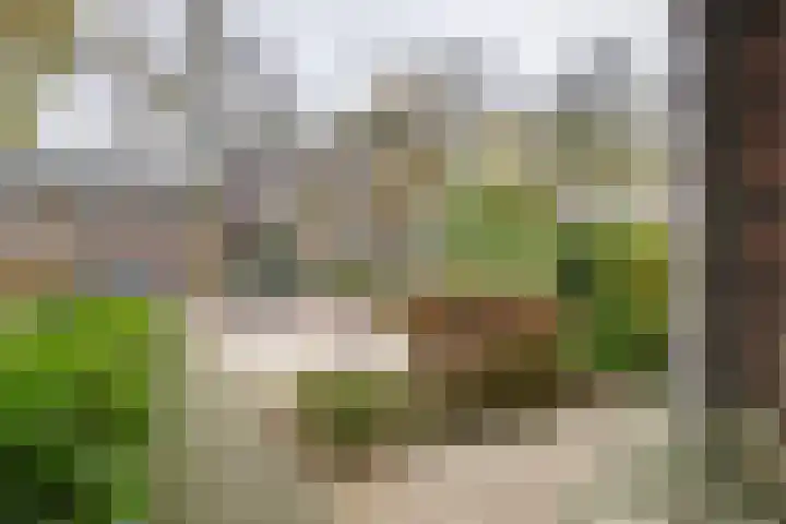 Heiligestraat 6 Tiel thumbnail 35