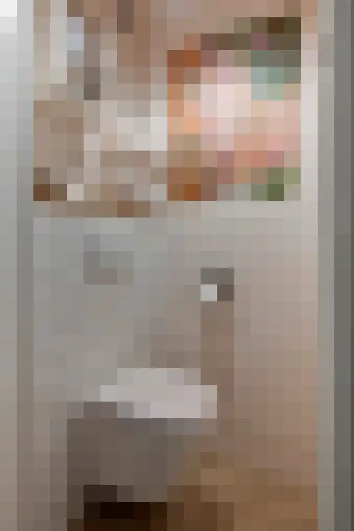 Heiligestraat 6 Tiel thumbnail 37
