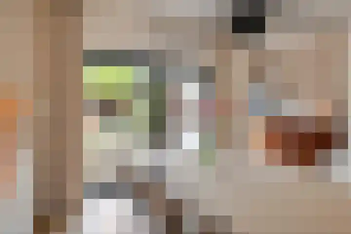 Heiligestraat 6 Tiel thumbnail 4