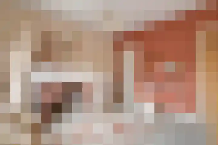 Heiligestraat 6 Tiel thumbnail 41