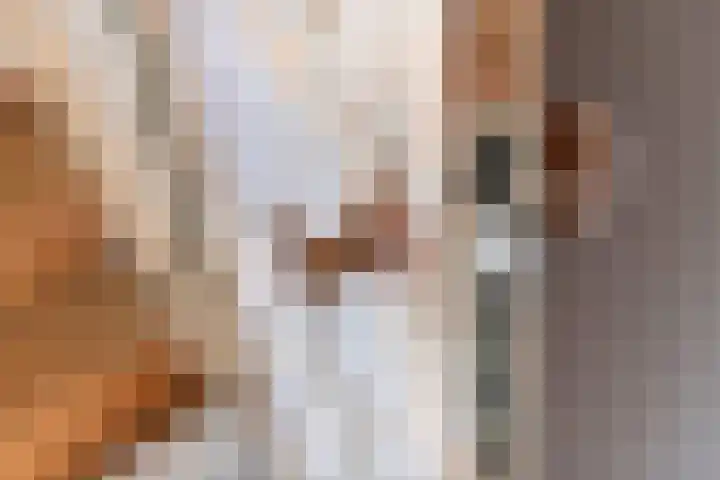 Heiligestraat 6 Tiel thumbnail 43