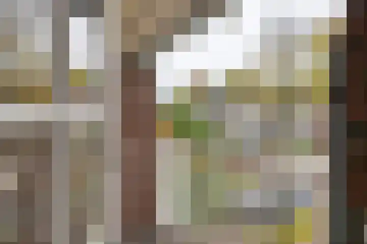 Heiligestraat 6 Tiel thumbnail 45
