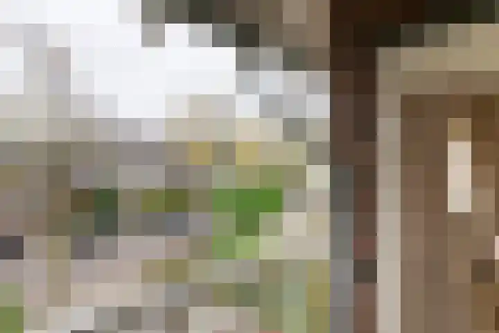 Heiligestraat 6 Tiel thumbnail 46