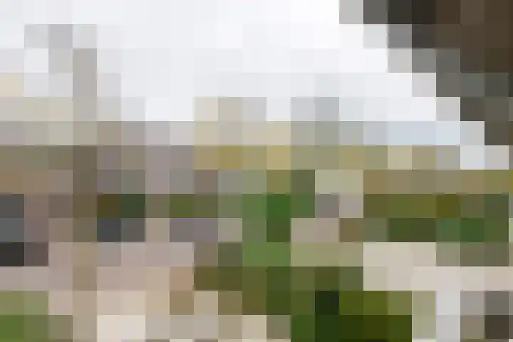 Heiligestraat 6 Tiel thumbnail 47