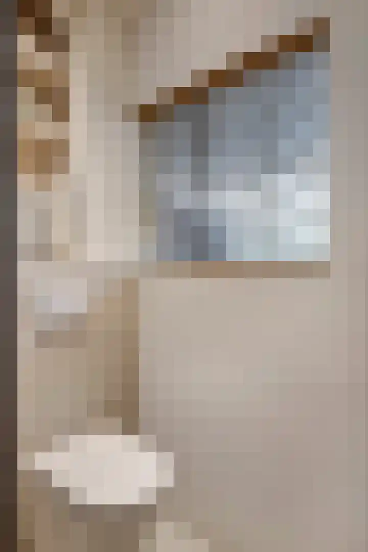 Heiligestraat 6 Tiel thumbnail 54