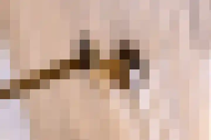 Heiligestraat 6 Tiel thumbnail 57