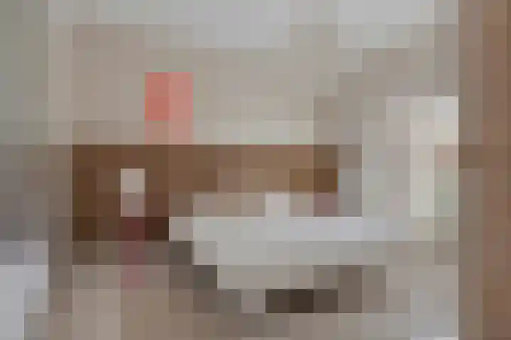 Heiligestraat 6 Tiel thumbnail 58