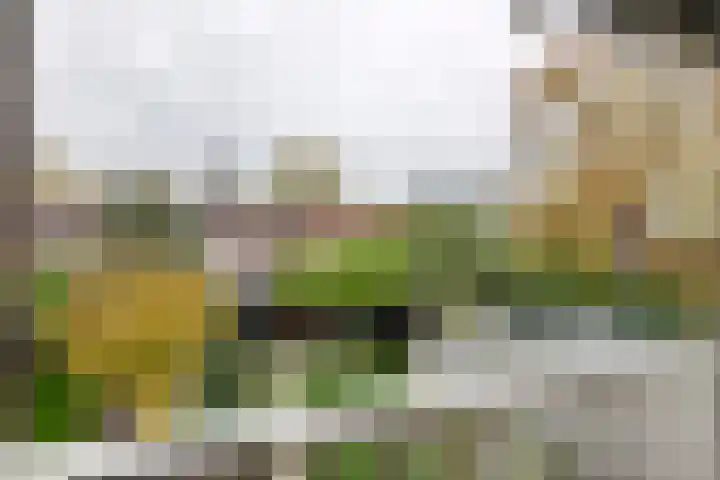Heiligestraat 6 Tiel thumbnail 66