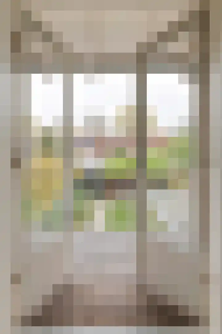 Heiligestraat 6 Tiel thumbnail 68