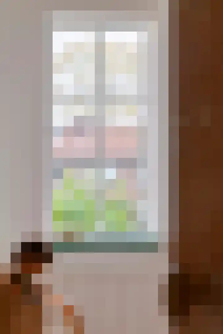 Heiligestraat 6 Tiel thumbnail 70