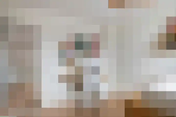Heiligestraat 6 Tiel thumbnail 72