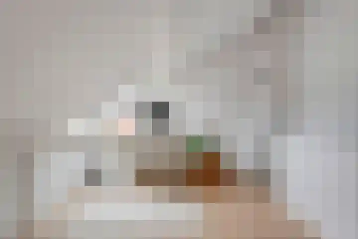 Heiligestraat 6 Tiel thumbnail 74