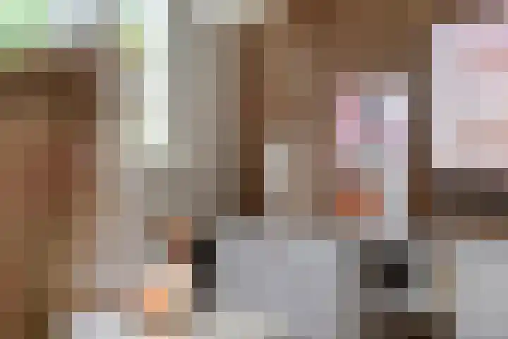 Heiligestraat 6 Tiel thumbnail 8