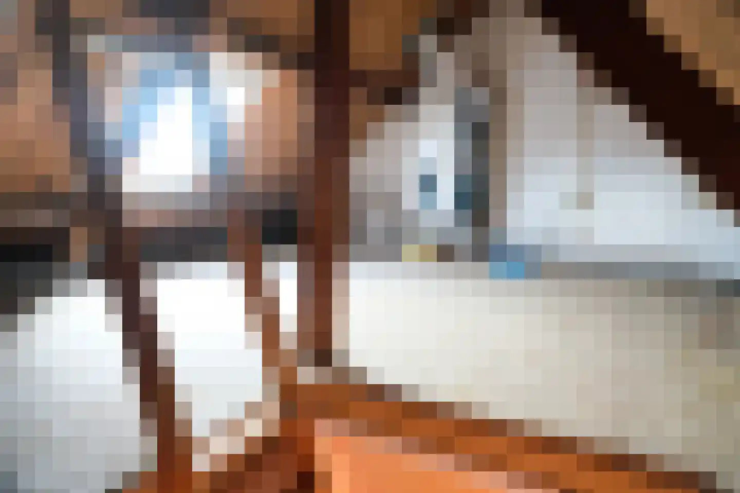 Heiligestraat 75 Tiel thumbnail 6