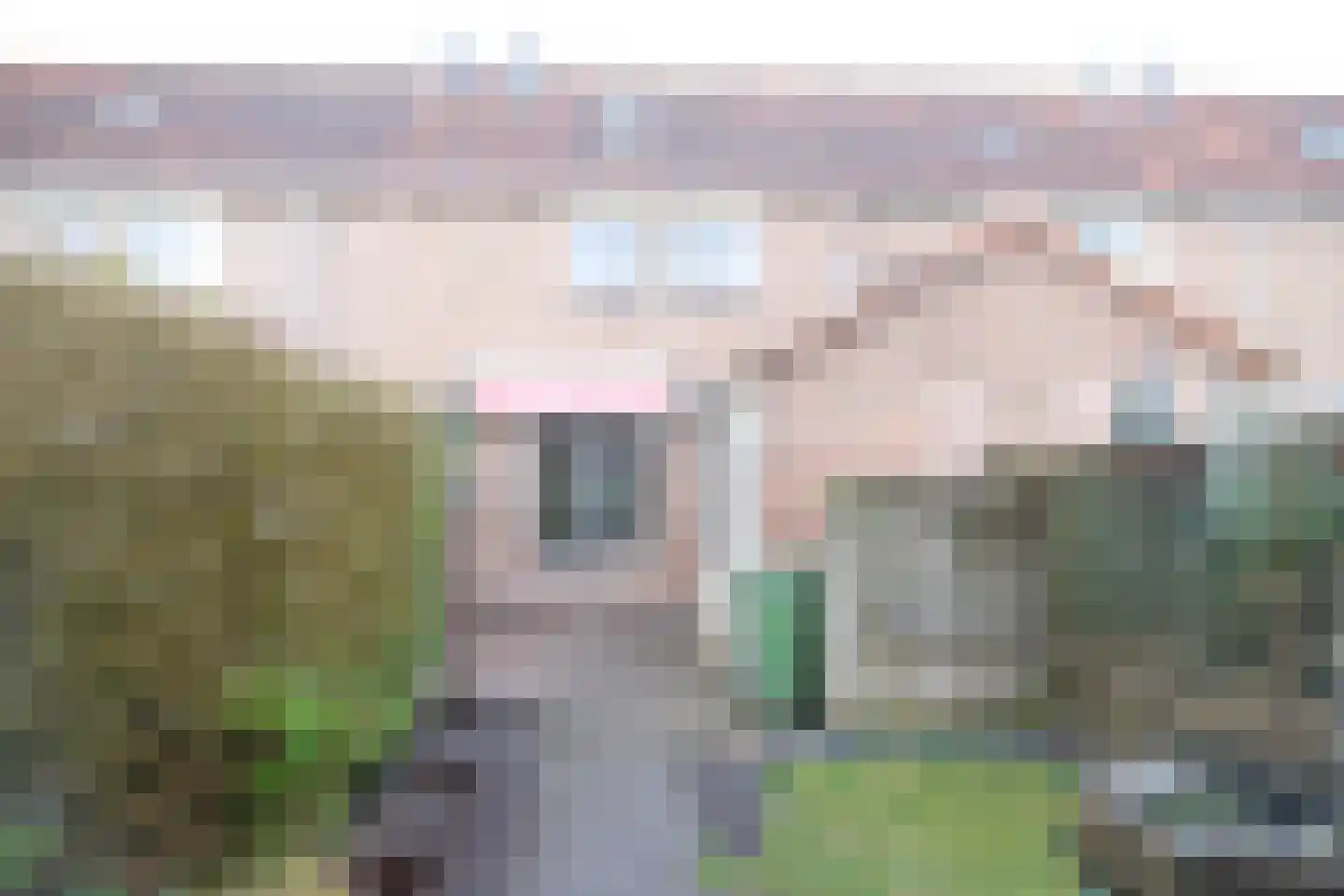 Heiligestraat 75 Tiel thumbnail 8