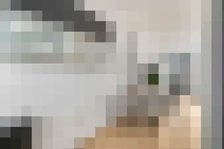 Heiligestraat 97 Tiel thumbnail 12
