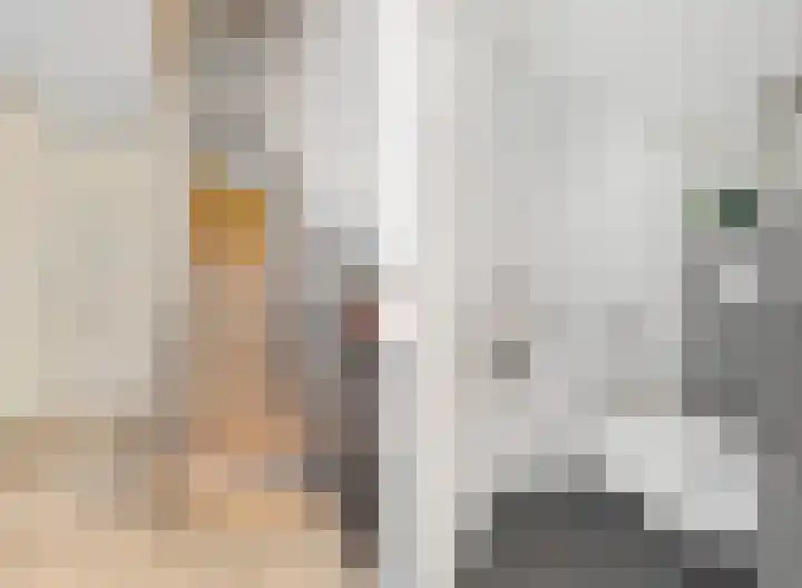 Heiligestraat 97 Tiel thumbnail 13