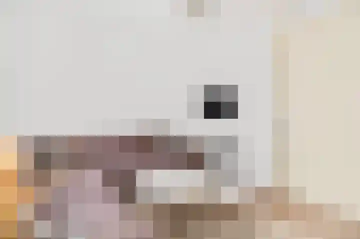 Heiligestraat 97 Tiel thumbnail 24