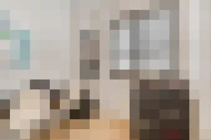 Heiligestraat 97 Tiel thumbnail 25