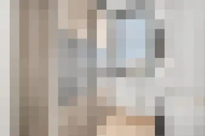 Heiligestraat 97 Tiel thumbnail 27
