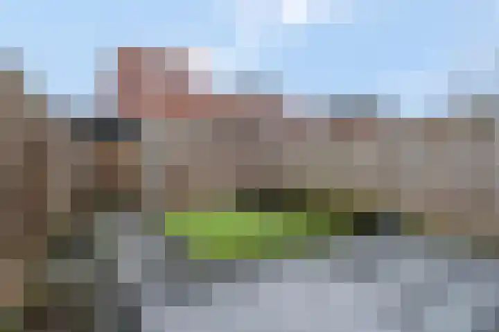 Heiligestraat 97 Tiel thumbnail 31