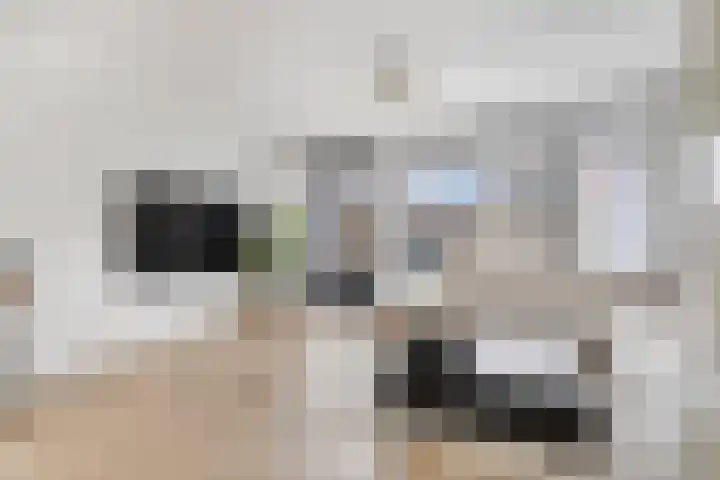 Heiligestraat 97 Tiel thumbnail 7