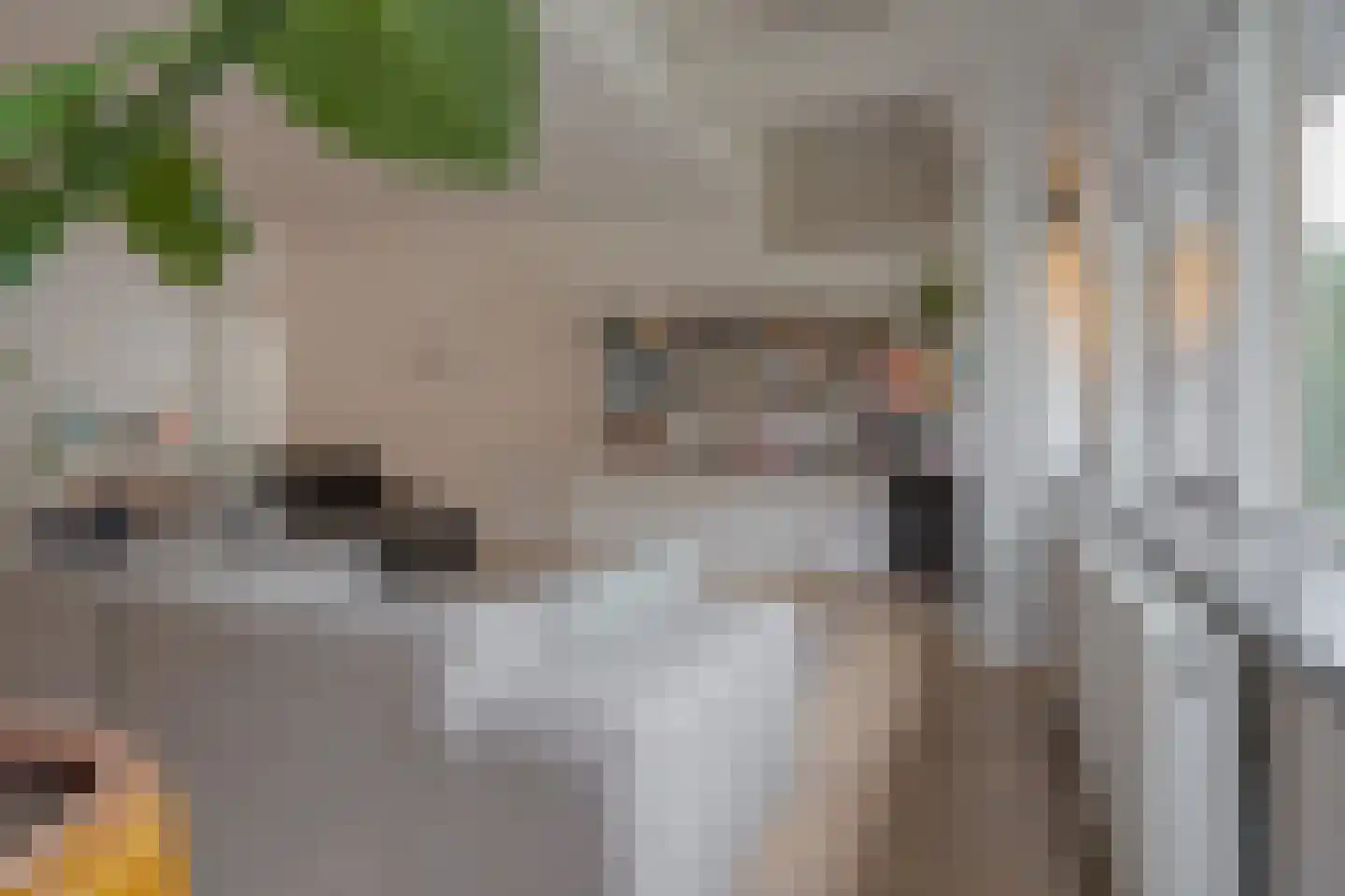 Heiligeweg 11 Zwolle thumbnail 11