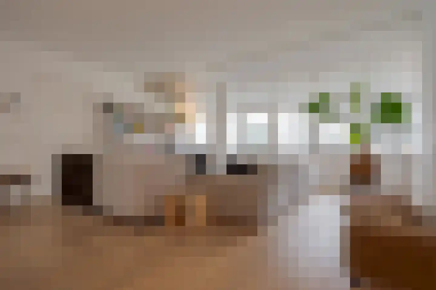 Heiligeweg 11 Zwolle thumbnail 13