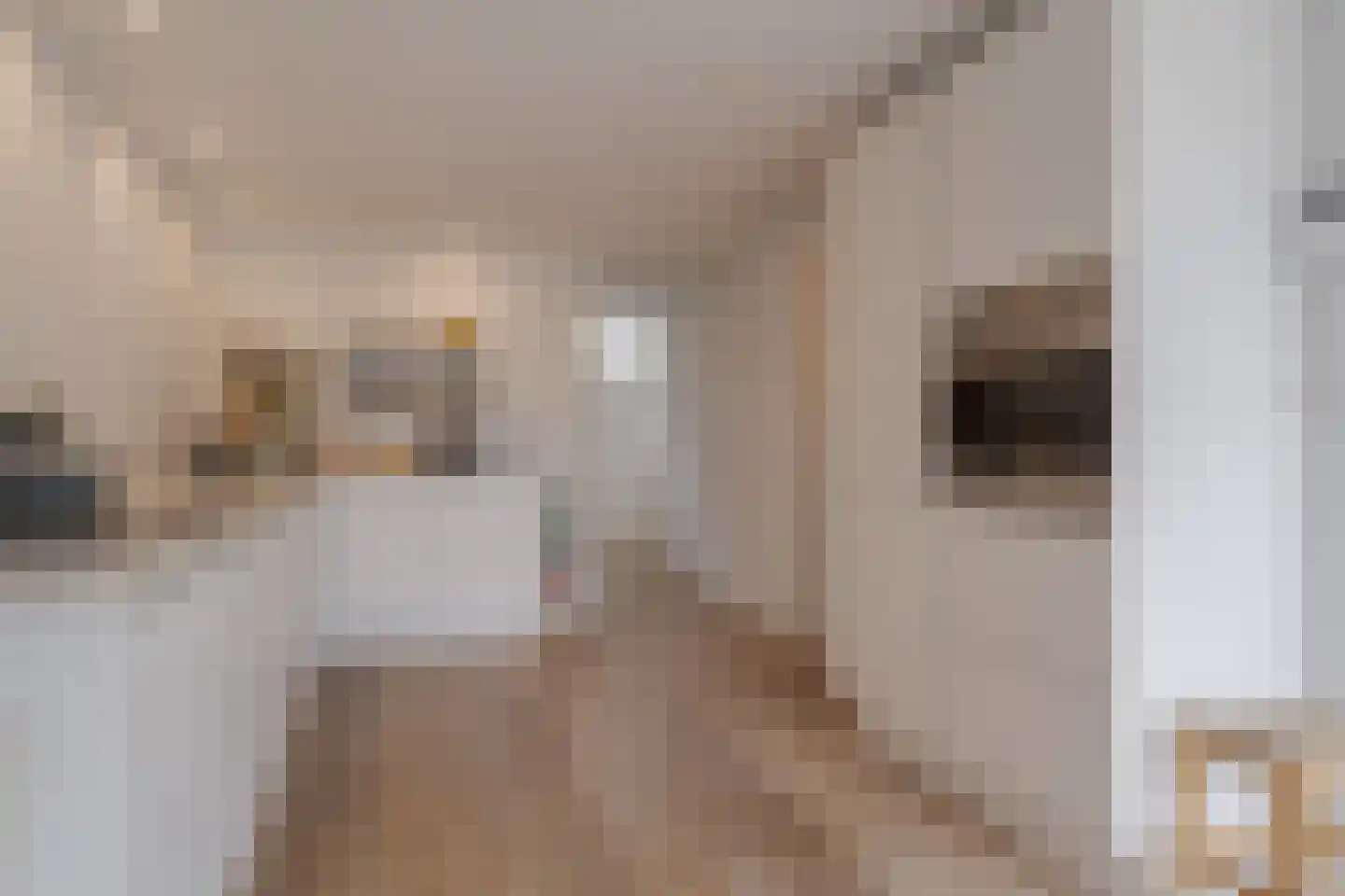Heiligeweg 11 Zwolle thumbnail 23