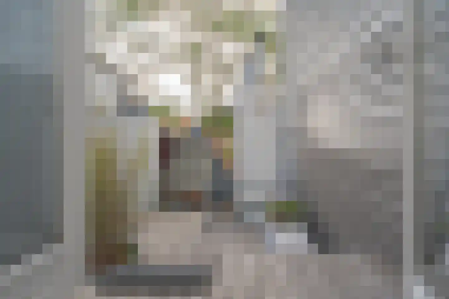 Heiligeweg 11 Zwolle thumbnail 35