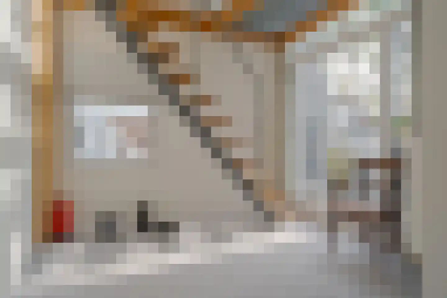 Heiligeweg 11 Zwolle thumbnail 36