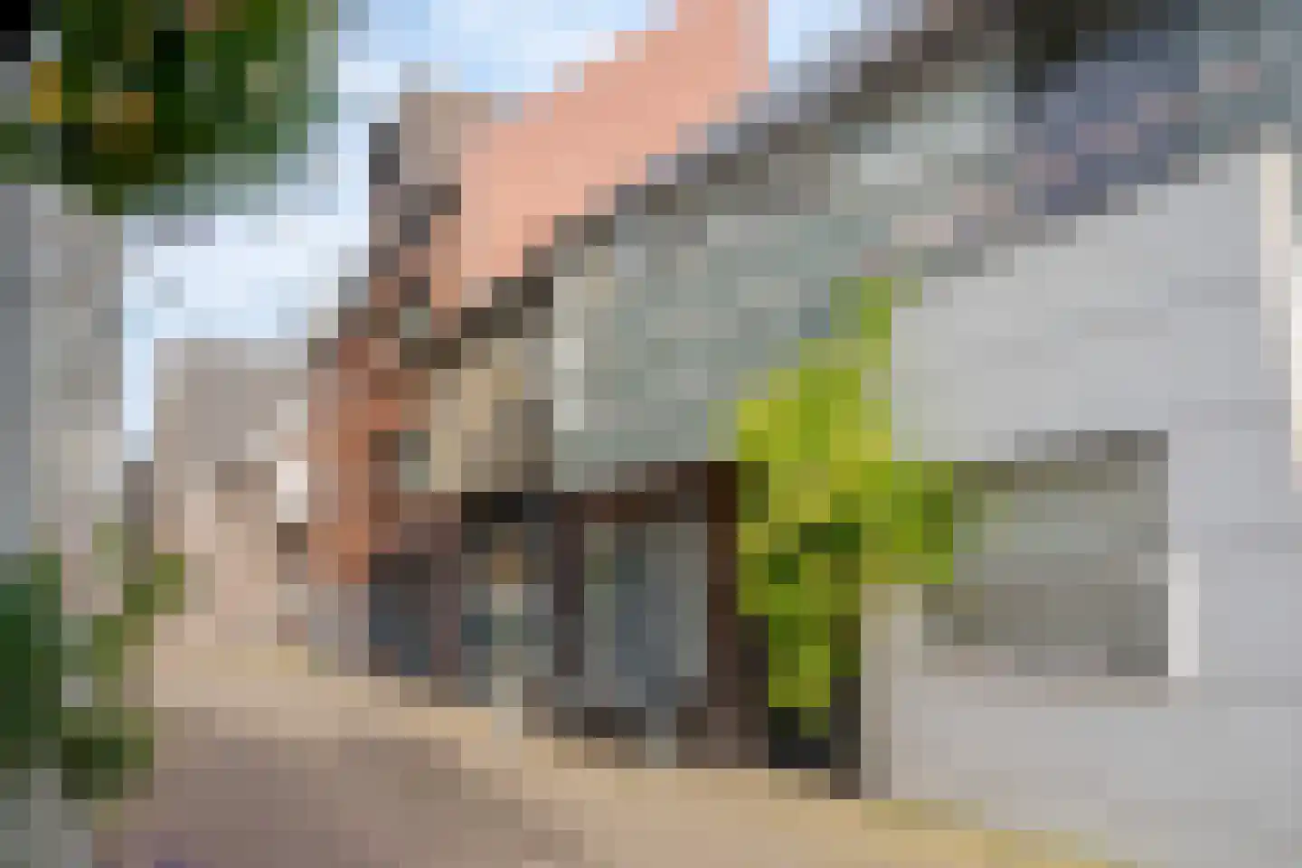 Heiligeweg 11 Zwolle thumbnail 7