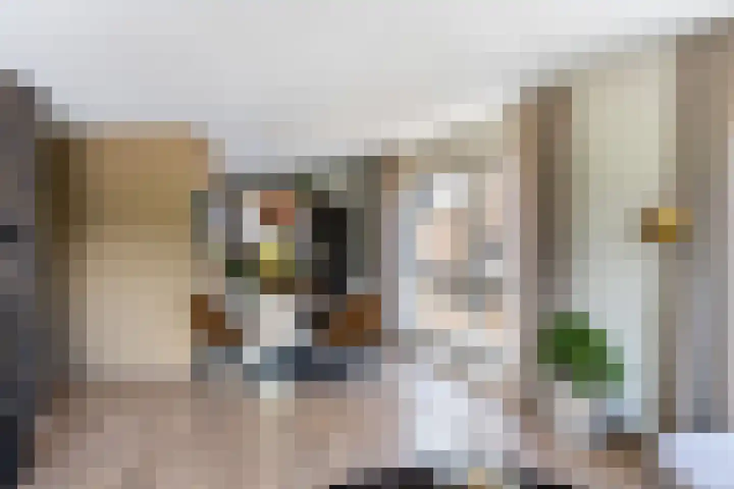 Heiligeweg 12 Zwolle thumbnail 11