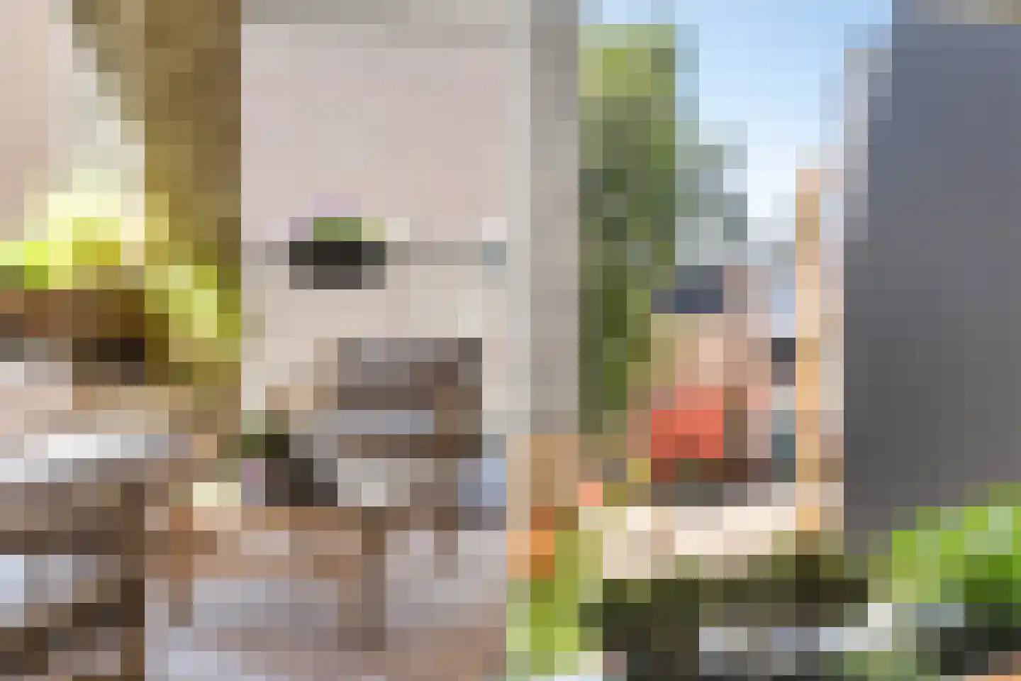 Heiligeweg 12 Zwolle thumbnail 14