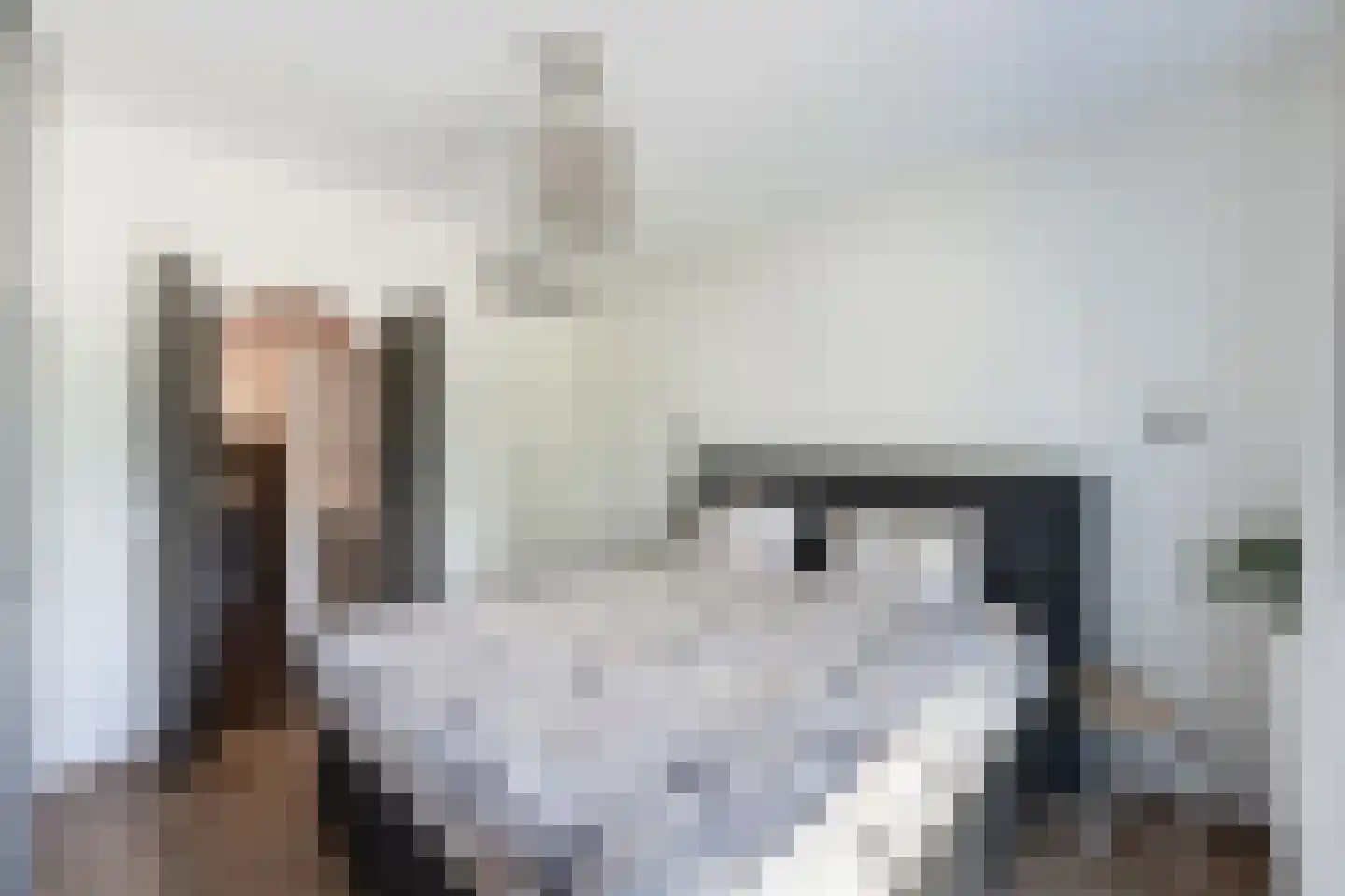 Heiligeweg 12 Zwolle thumbnail 18