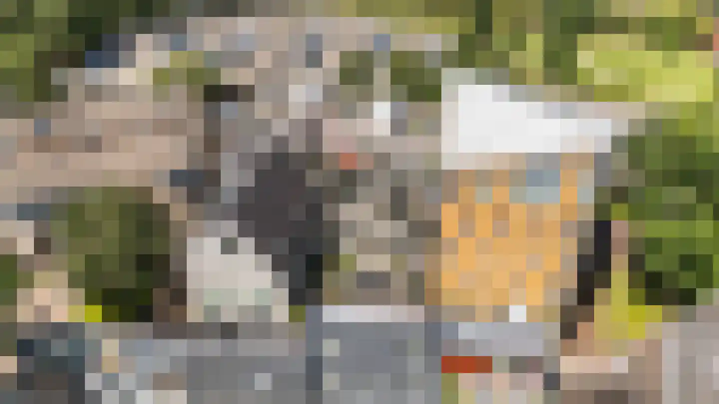 Heiligeweg 12 Zwolle thumbnail 27