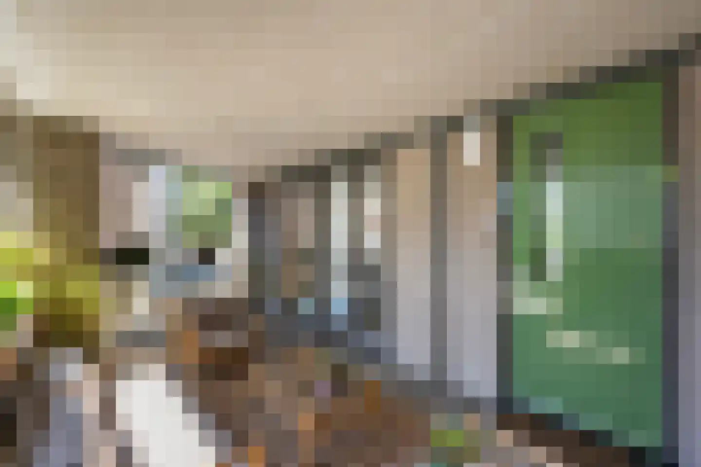 Heiligeweg 12 Zwolle thumbnail 5