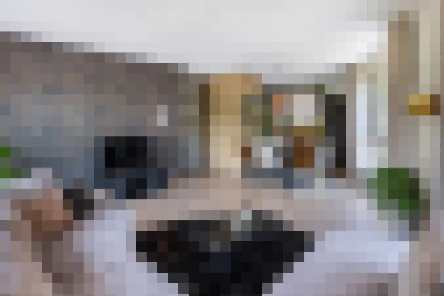 Heiligeweg 12 Zwolle thumbnail 9